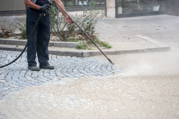 Best Driveway Pressure Washing  in Genoa, AR