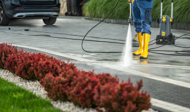 Best Dumpster Area Cleaning  in Genoa, AR